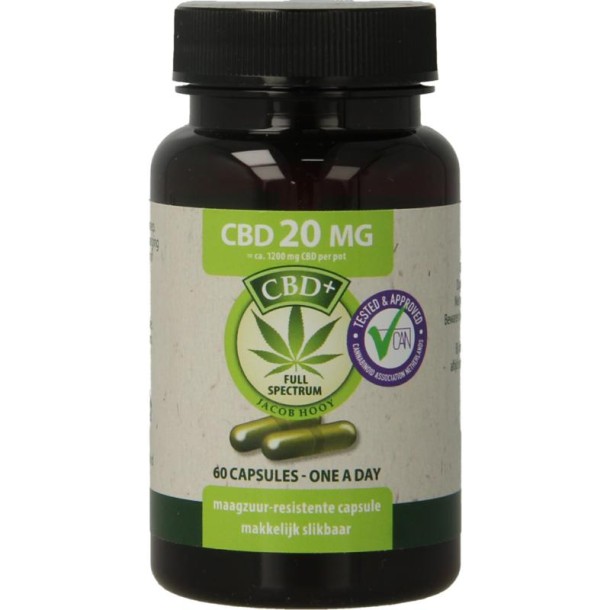 Jacob Hooy CBD Capsules 20mg (60 Capsules)