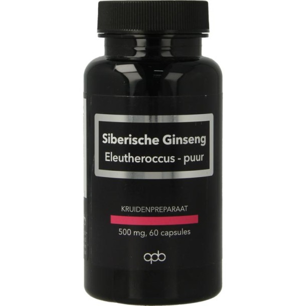 Apb Holland Siberische ginseng/eleutherococcus 500mg (60 Vegetarische capsules)