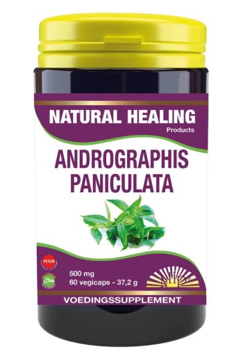 NHP Andrographis paniculata 500mg puur (60 Vegetarische capsules)