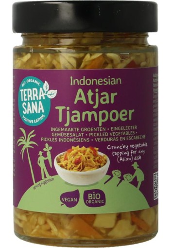 Terrasana Indonesische atjar tjampoer bio (300 Gram)