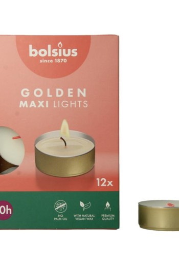 Bolsius Maxi lichten 10uur wit met gouden cup (12 Stuks)