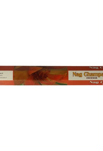 Natures Incense Wierook nag champa (20 Stuks)