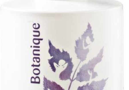 Botanique Handzeep vloeibaar lavendel (300 Milliliter)