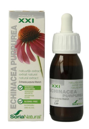 Soria Natural Echinacea purpurea XXI (50 Milliliter)