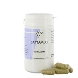 Holisan Saptamlo (60 Vegetarische capsules)