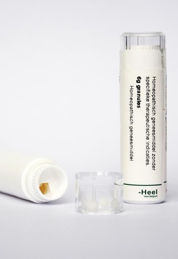 Homeoden Heel Conium maculatum D4 (6 Gram)