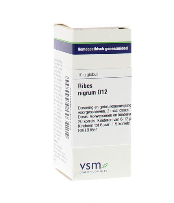 VSM Ribes nigrum D12 (10 Gram)