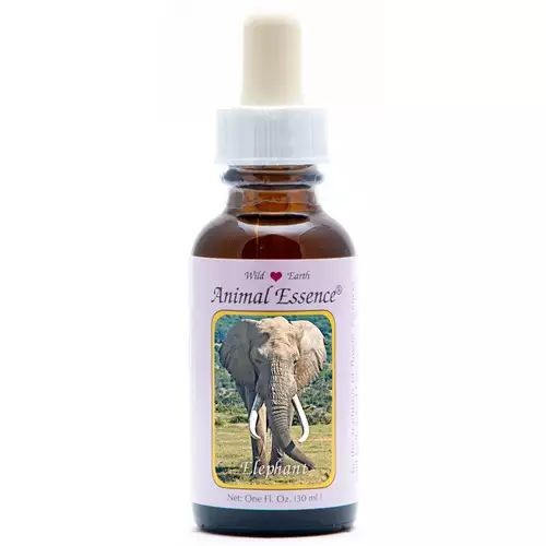 Animal Essences Elephant (olifant) (30 Milliliter)