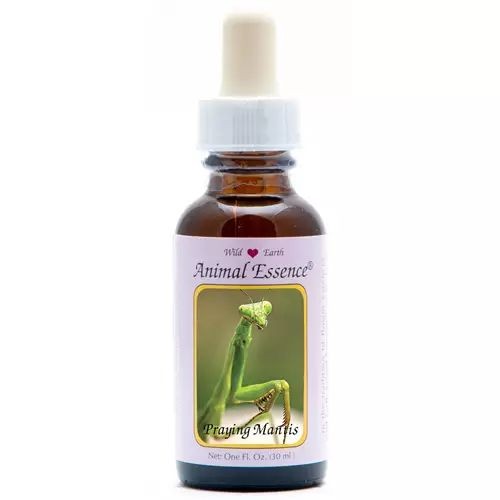 Animal Essences Praying mantis (bidsprinkhaan) (30 Milliliter)