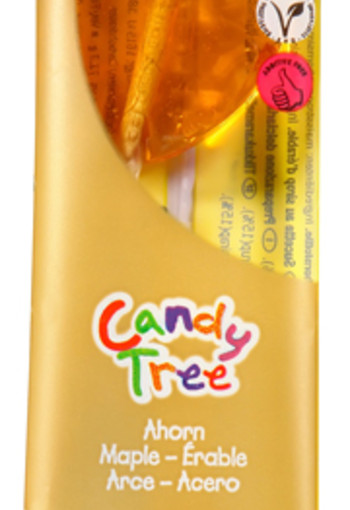 Candy Tree Ahorn lollie bio (1 Stuks)