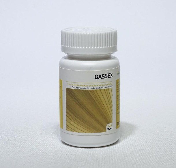 Ayurveda Health Gassex (120 Tabletten)